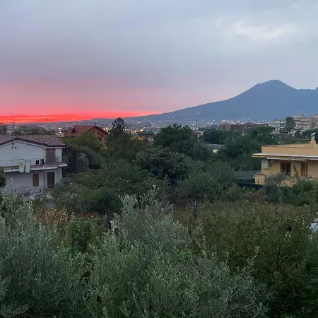 Due Pini Conte Angri